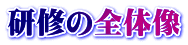 研修の全体像